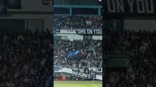Download lagu CHANT BANDUNG IS BLUE AND WHITE BERGEMA DI STADION MAGUWOHARJO SLEMAN #shorts #pssleman #persib mp3