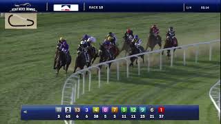 Chasing the Crown wins the NTL Overnight Handicap on August 31, 2025 at Kentucky Downs