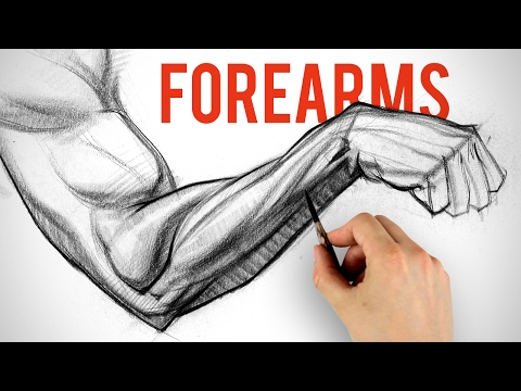Drawing and Shading Forearms - Arm Anatomy Demo