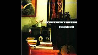 Shannon Wright - Commoner's Saint