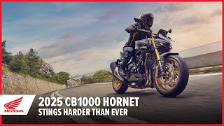 Honda CB1000 Hornet Video
