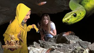 Download lagu Die Geissens im Krabbel-Horror 🕷️🐍😫 I Die Geissens mp3
