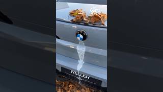 The BMW Logo That Cleans Itself