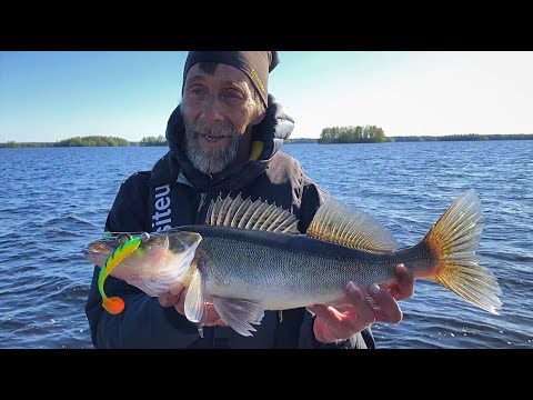 Uudet välineet ja vieheet kuhanjigaukseen - Pikajigipää - Dropshot - Kuhan kalastus - Jigisetti