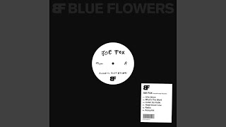 Autopilot (Acoustic)