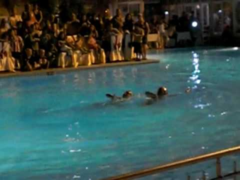 Watershow Hotel Linda 2009