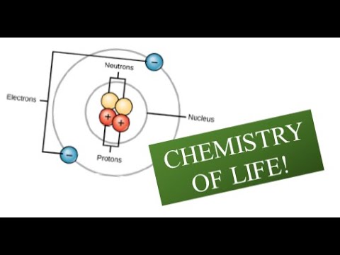 Chemistry of Life: Ch 2.1 - Concepts of Biology (Reading only)