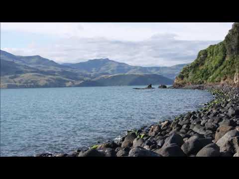 Jan Bialecki - Psalm 103 - ברכי נפשי את יהוה