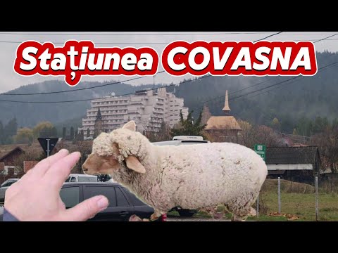 ⚜️ Am căutat LOCAȚIE pentru o CINĂ FESTIVĂ în STAȚIUNEA COVASNA. 🥳