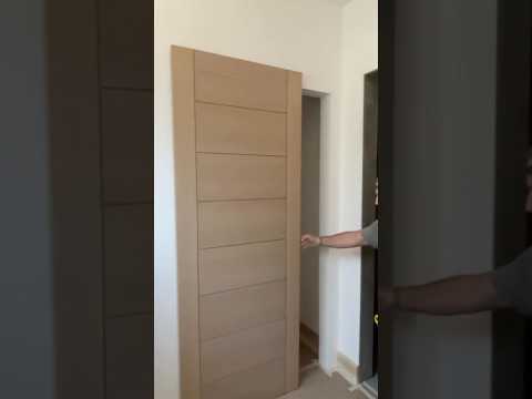 Is This the Coolest Door Ever? You Won't Believe This Hidden Door!