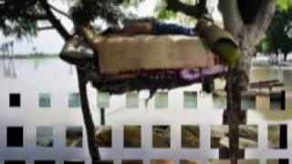 Camel - Long Goodbyes. landscapes nature