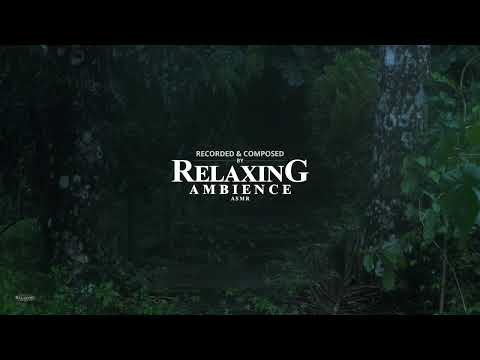 Rain and Thunder on Stairs Deep in Jungle | Help Study, Meditation, PTSD, Insomnia