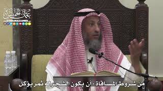 1517 - من شروط المساقاة - أن يكون الشجر له ثمر يؤكل - عثمان الخميس