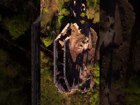 Burgruine Starhemberg - Alte Mauern im Wald | Drone Short