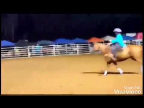 Milan Horse Show 2016