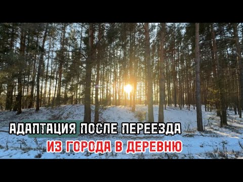 КАК Я СЕБЯ ЧУВСТВОВАЛА ПОСЛЕ ПЕРЕЕЗДА, и что сейчас?)) 