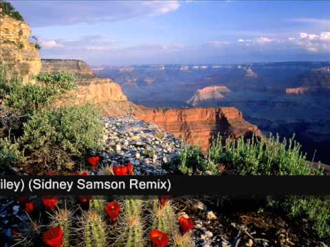 Uitjeplaat Housemix #5 - Chuckie, Jean, Dinka, Alvaro, Sidney Samson