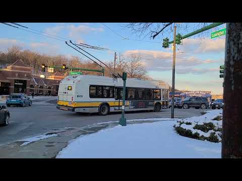 73 MBTA Trolleybus @ Waverley Square