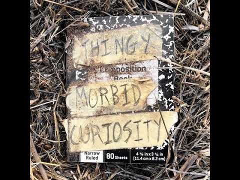 Thingy – Morbid Curiosity (2018)