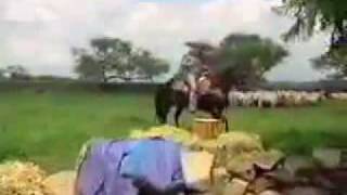 aunque me duela el alma.avi