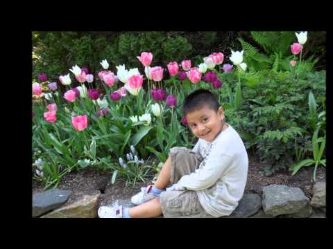 los tigres del norte consejos de un padre