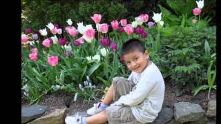 los tigres del norte consejos de un padre