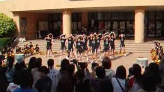 沖縄チアリーディングチーム　GEMMYZ ２００８年１１月２３日