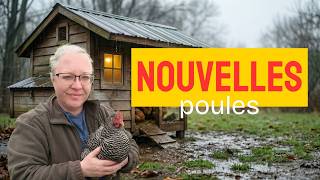 VLOG : Nouvelles poules sous la pluie & Grosse charge mentale #maman #campagne #vlog #animaux