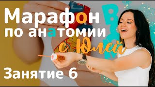 Вскрытие показало инфаркт микарда | Марафон по Анатомии человека| БИОЛОГИЯ ЕГЭ ОГЭ 2024