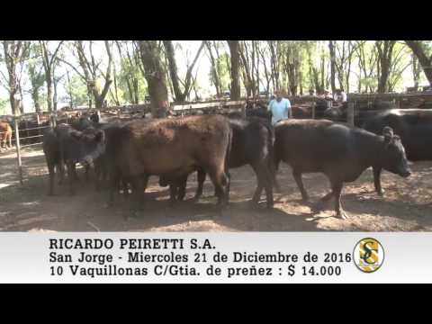 21-12-16 Venta de Vientres - Ricardo Peiretti S.A. - San Jorge.