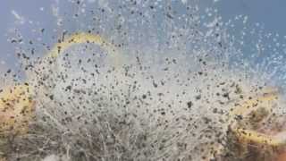 Capricorn (Motörhead cover by In Mobile)