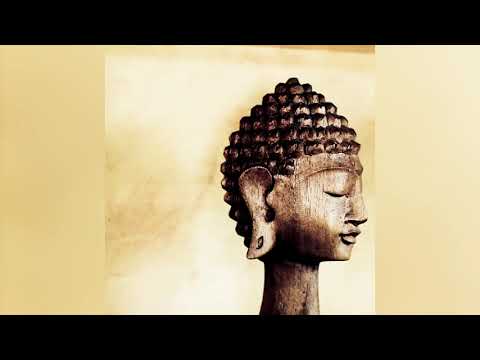 Joseph Goldstein – Insight Hour – Ep. 11 – The Art of Renunciation