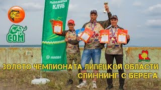 Ссылка