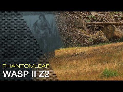 DIE PHANTOMLEAF STORY - TEIL3: TARNUNG FÜR ARIDE GEBIETE  - WASP II Z2