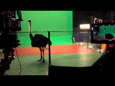 ,,Digi Animal Club" de duminica, 22 martie 2015