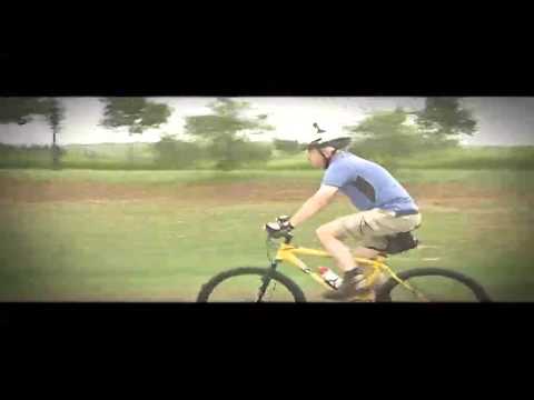 Identifying the oldest bones in the world