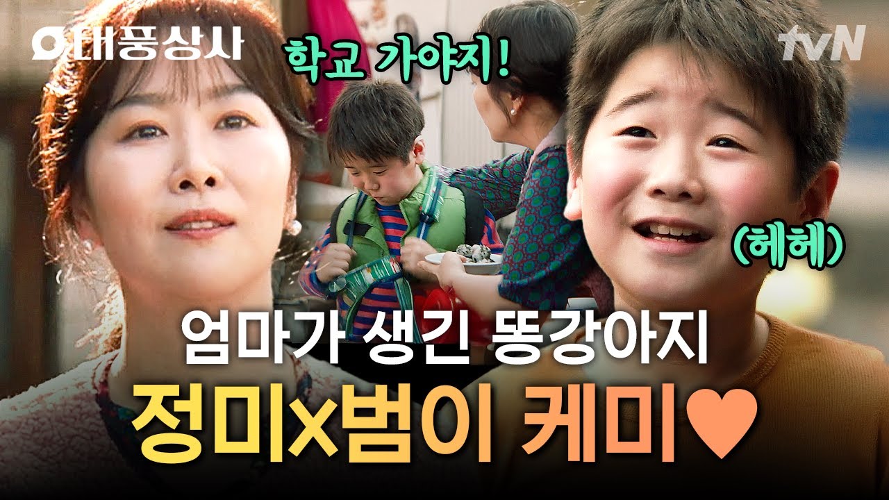 [#태풍상사] 똥강아지 범이에게 엄마가 생겼어요👶 태풍이 엄마 정미의 두 번째 육아?!☺
