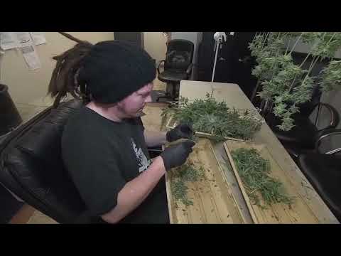 NJ Approves Marijuana