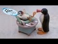 Pingu Pinga Is Introduced