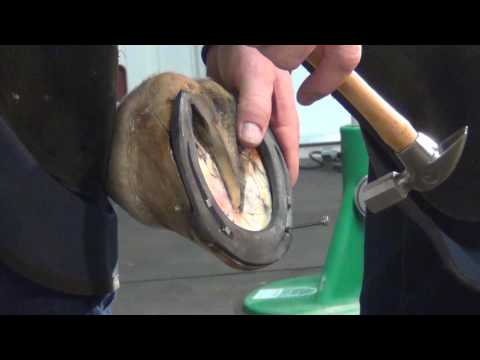 Steel Comfort Front Shoe Application