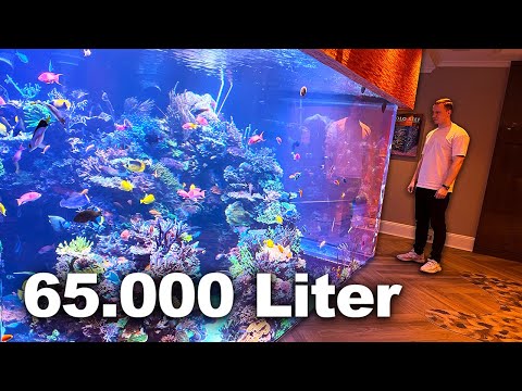 The most amazing private aquarium in the world! ...My USA trip to see the €1,000,000 tank