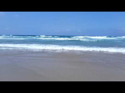 Fazer Beach, Sydney 11/2016