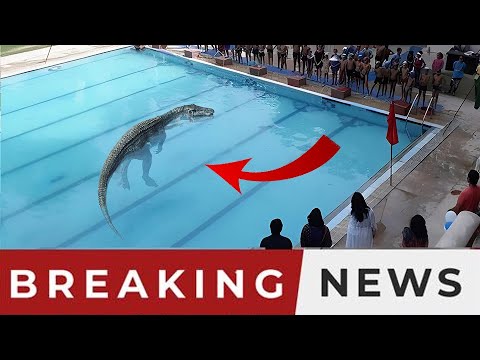 Dinosaurs In Our World! - Jurassic World Dominion