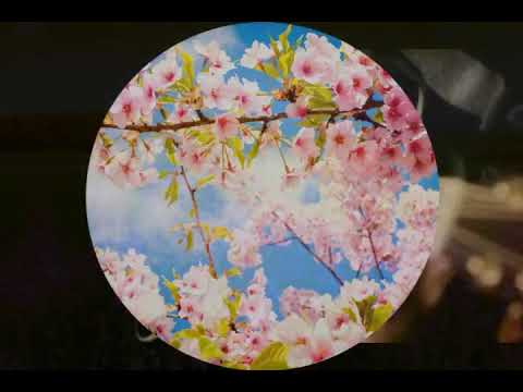 Tình theo mùa qua - Tiểu Muội