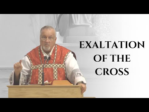 Exaltation of the Cross | Fr. Dan Reehil Homily