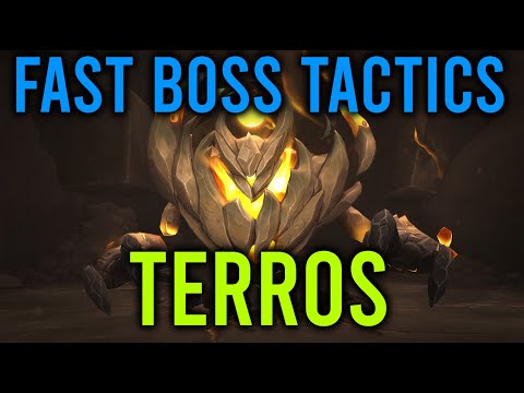 FAST Tactics - TERROS - Dragonflight Raid Boss - Vault of the Incarnates Raid