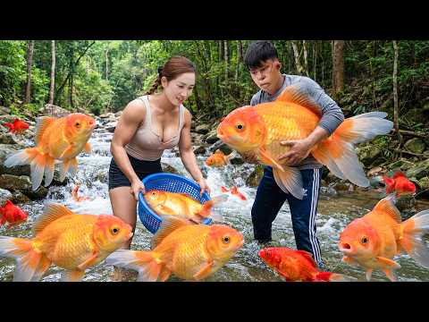 Harvesting Hundreds of Koi Fish on Slippery Rocky Stream | Sold Out Fast at Village Market