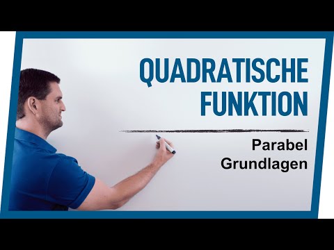 Quadratic Function & Parabola Basics | Math by Daniel Jung