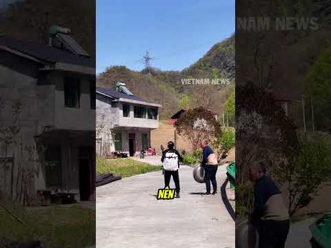 Ong mật muốn bỏ nhà ra đi nhưng bác nông dân có chiêu hay