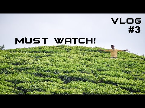 Special Vlog for Nature Lovers! |  (vlog #3)